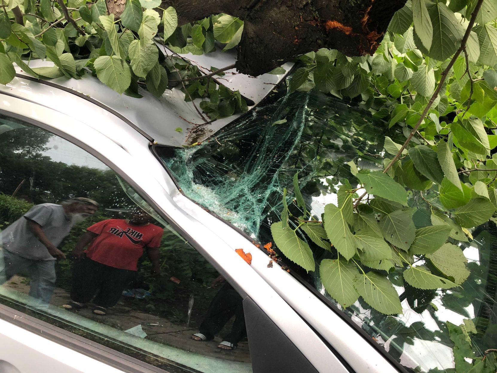 071121-owh-new-stormdamage-pic-AR001.jpg